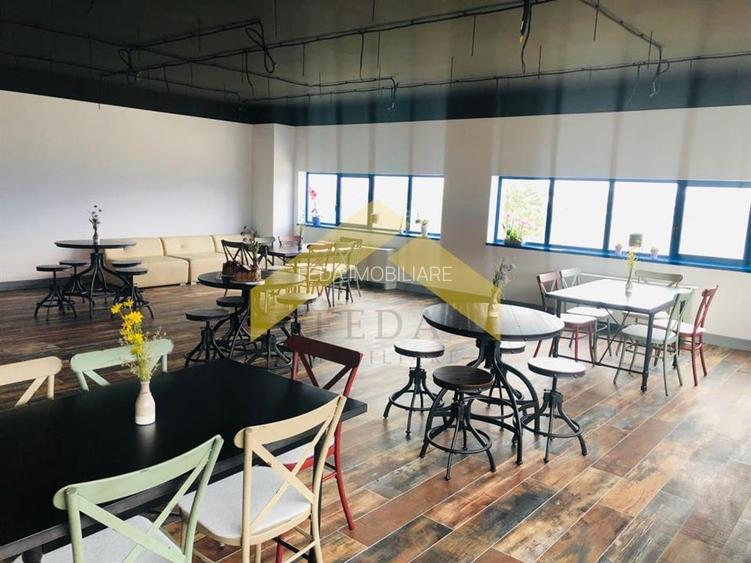 Hala de vanzare zona industriala Vest - 3