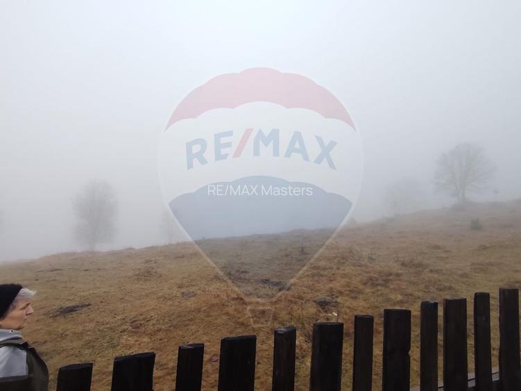 Teren INTRAVILAN 23.238m.p. Dorna-Arini / Cozănești - 4