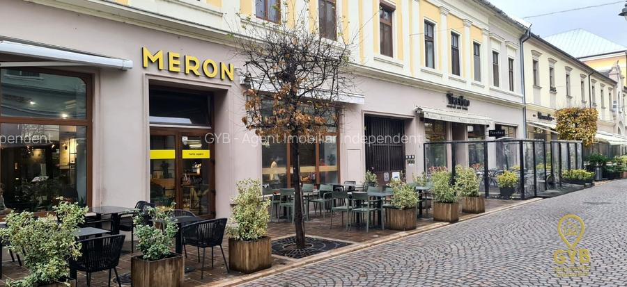 Apartament 2 camere  + Studio ULTRACENTRAL // Vasile Alecsandri - 11