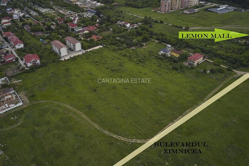 Pipera 6.000 mp ( Zimnicea ) - 3