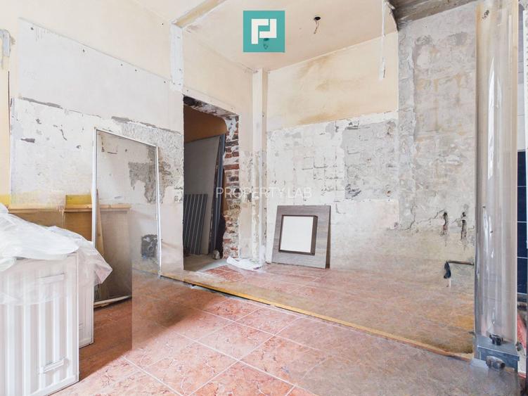 Casă + afacere activă | Venit 1100€/lună - 17