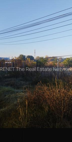 Inchiriez  teren 5000mp  Buc Măgurele, nr:236 stradal Sector 5 pentru 5000 EURO - 6