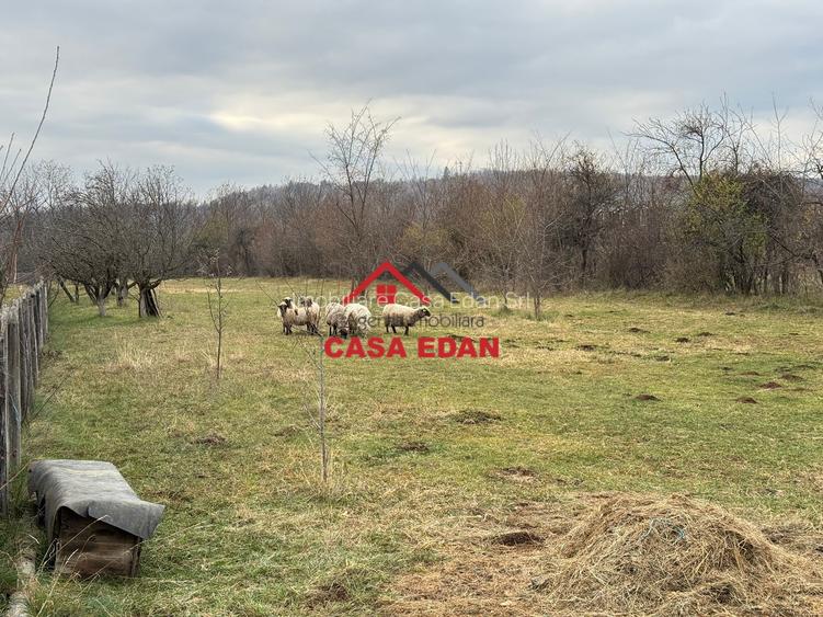 Teren intravilan in Brebu--2080mp--22e - 3