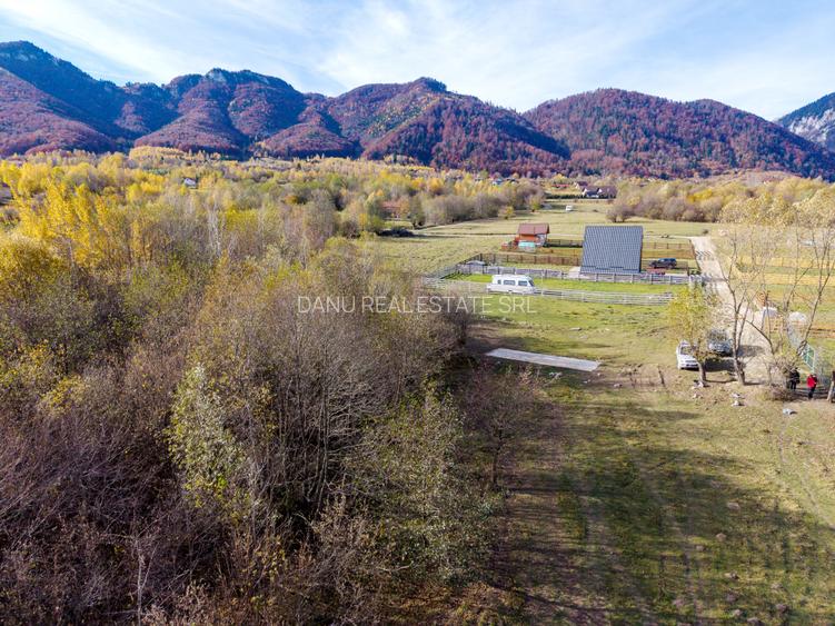 Teren intravilan 2500mp Tohanita Zarnesti- ideal casa de vacanta - 9
