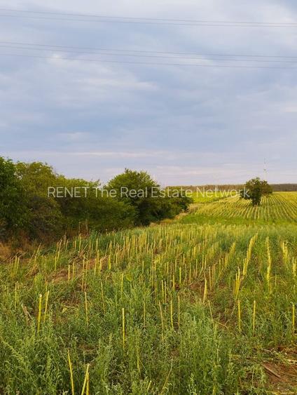 SUPER OCAZIE SE VINDE TEREN UZUNU STRADAL DN5 BUCURESTI-GIURGIU - 4