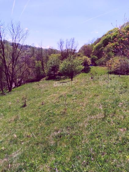 Teren de vis la munte – 7.795 mp – construibil – pârâu, pădure, fără vecini - 5