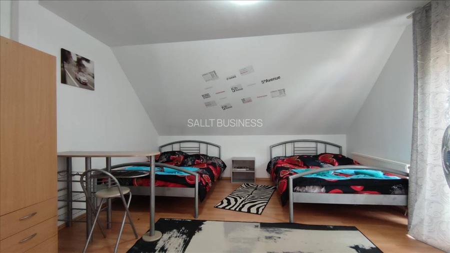 Pensiune in Sasca Montana - 7