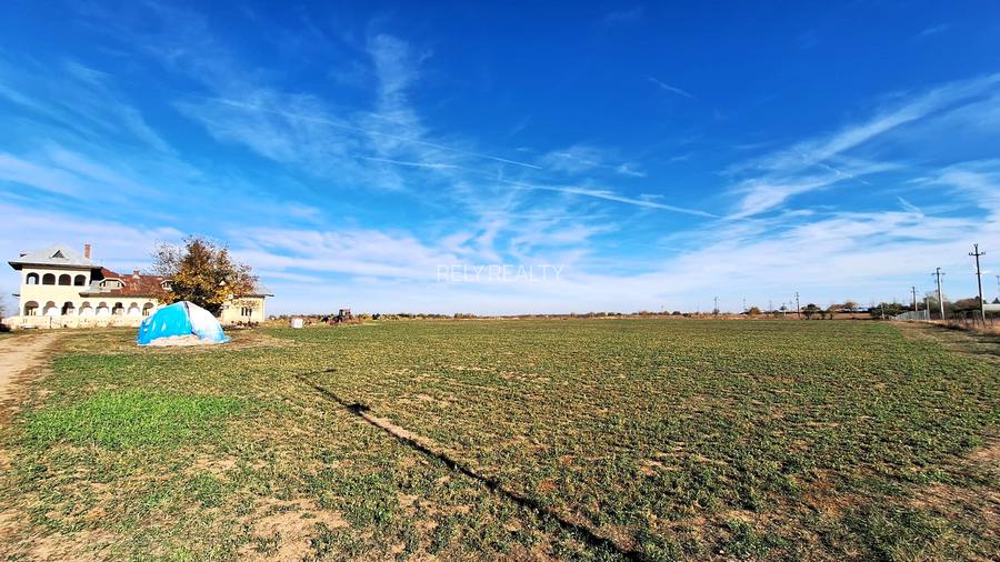 Proprietate deosebita Adunatii Copaceni, teren: 54.141 mp, conac, comision 0% - 8