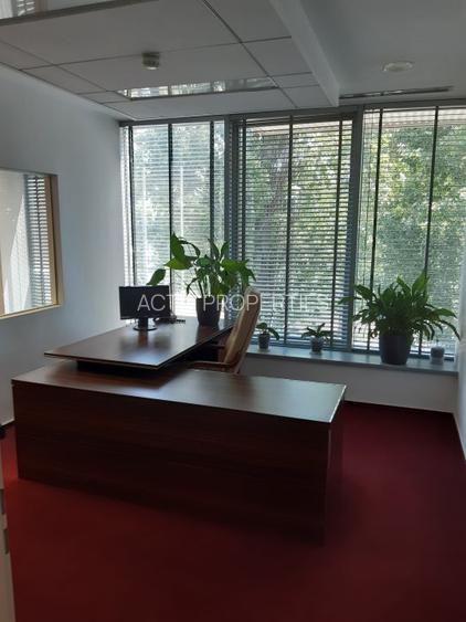 Birouri, Showroom, Sala de prezentari, Depozit , functiuni multiple - 12