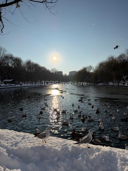 Apartament Luminos cu vedere spre Școală 195 / Parcul IOR - 26