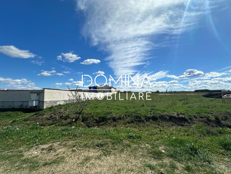 Vanzare teren intravilan 10.339 mp cu PUZ*dubla deschidere* - strada Narciselor  - 4