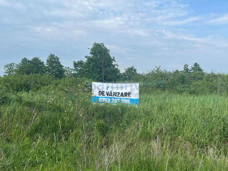 Teren intravilan de vanzare 4910 mp, Saldabagiu de Munte, Bihor - 2