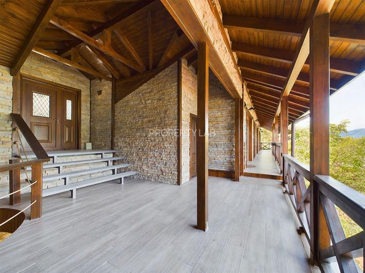 Pensiune de Lux pe Malul Dunării în Dubova - 15