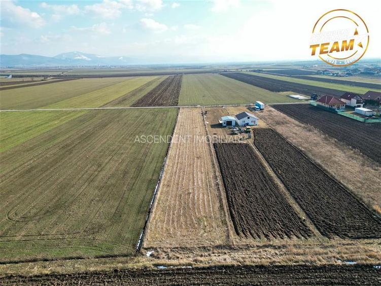 Liniste si aer curat in proximitatea Municipiului Sfantu Gheorghe - 3