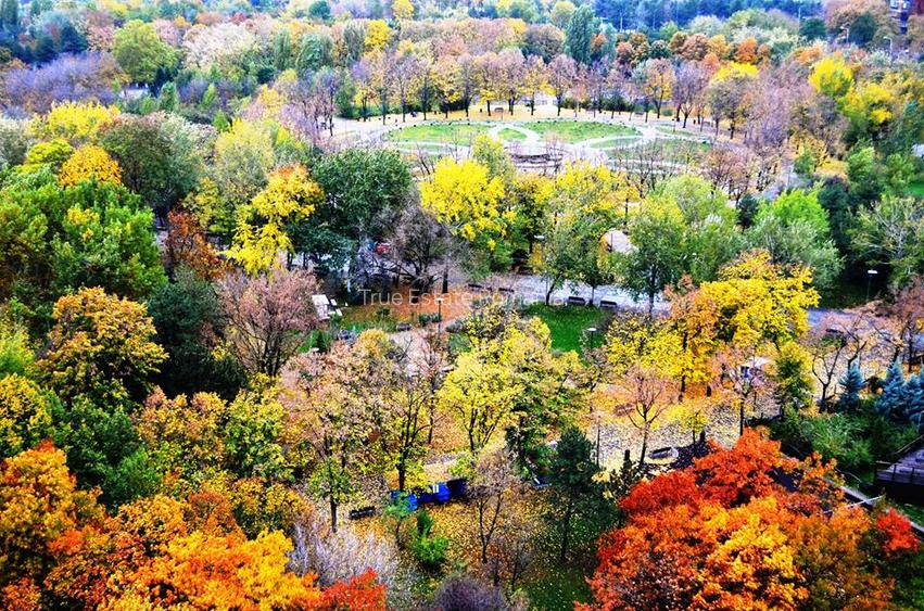 Apartament de inchiriat cu vedere panoramica catre Parcul IOR - 4