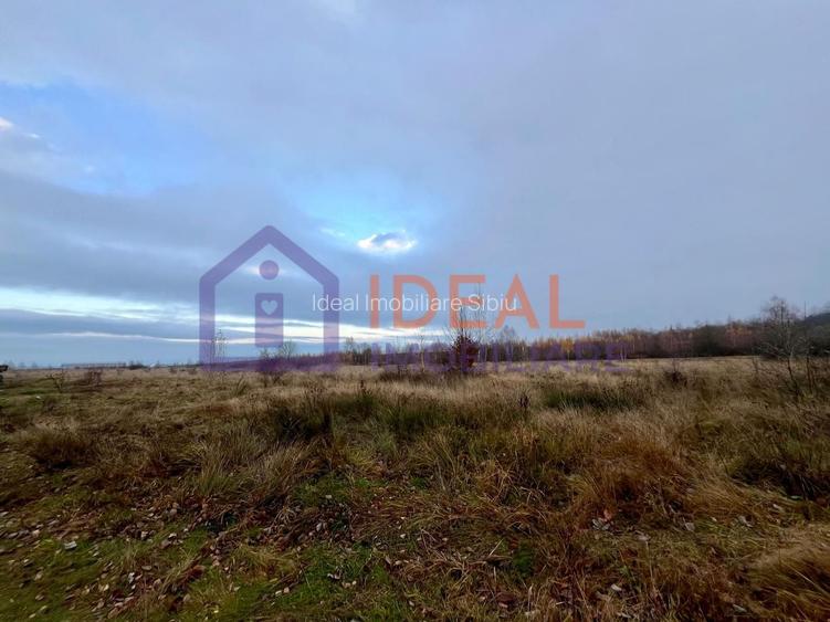 Teren extravilan 6.500 mp – două căi de acces, Cârțișoara - 4