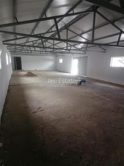 Hala 550mp zona Lunca Cetatuii - Dumbrava - 2
