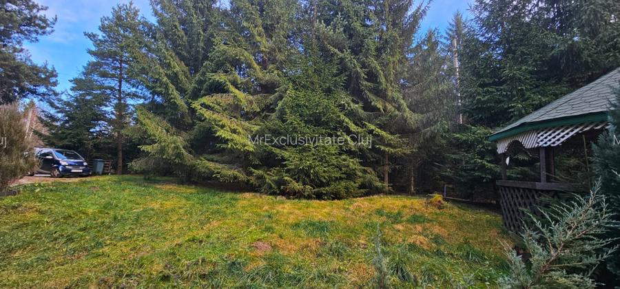 Casa spatioasa langa Belis-zona turistica, curte mare,ciubar - 2