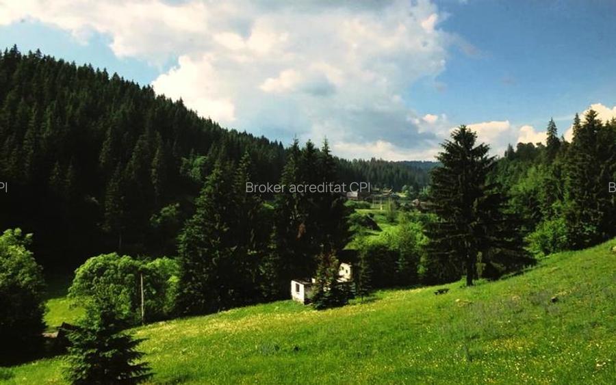 Teren intravilan si padure de brad 34.000 mp Varsag, Harghita - 6