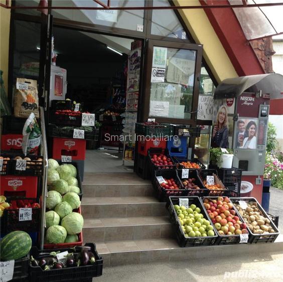 Spatiu Comercial 100 mp Triaj - 3