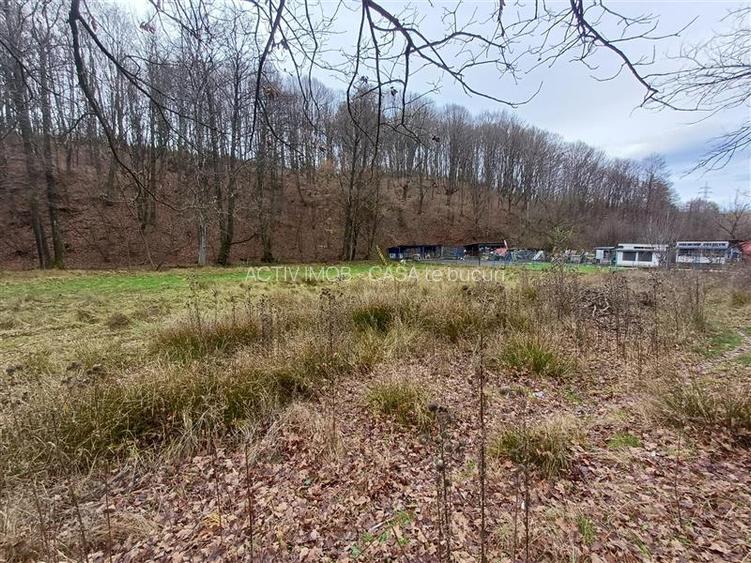 Resita, Teren Drept Intravilan, Langa Prau si Drum, Parcelabil, 4500 Mp., 15 Eur - 16