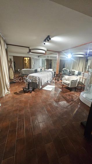 vila ideal birouri, clinica estetica, stomatologica,langa parc Herastrau - 10