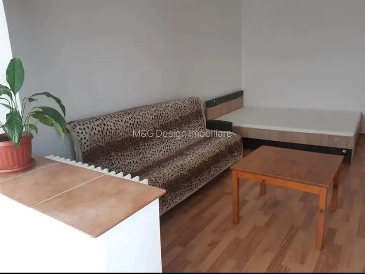 Apartament 1 camera zona Buziasului - 3