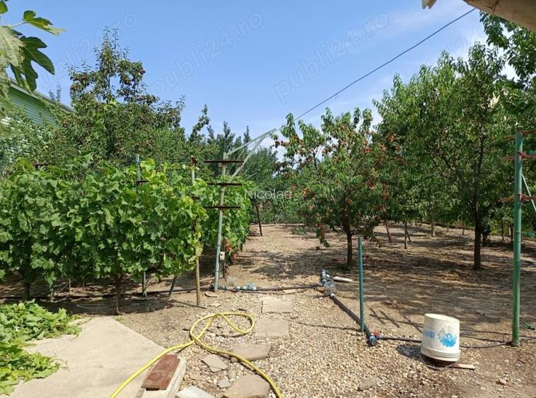 OTOPENI CENTRAL–PROPRIETATE GENEROASĂ -350m.p. pe 1000m.p. teren - 12