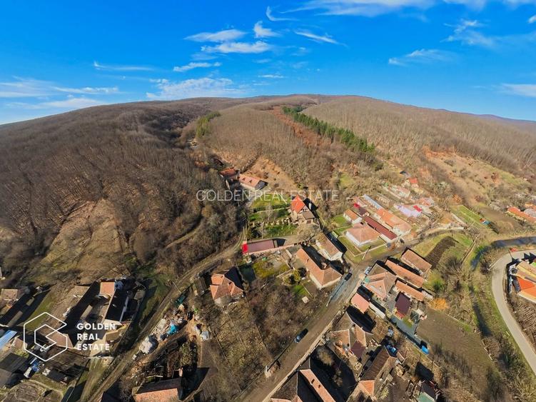 Proprietate pretabila pentru afacere, Cladova - 38