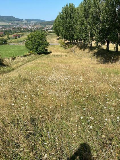 Teren intravilan 2600 mp - pretabil casa/investitie-Zona Aerodrom - 7