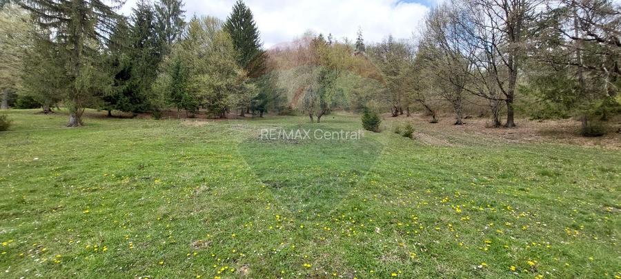 Poienita 2800mp, Covasna, zona hotel Clermont, inconjurat de padure - 15