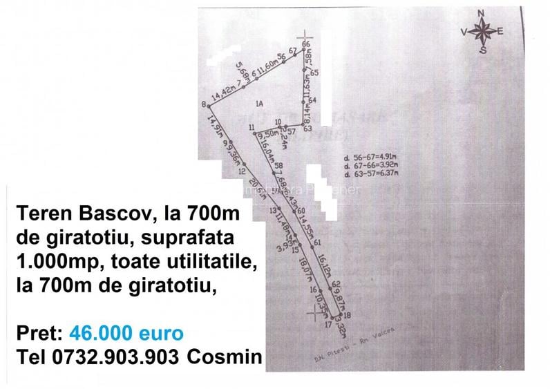 Teren Bascov, diverse suprafete - 5