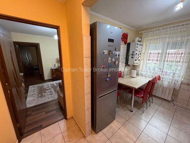 Apartament 2 camere, parter - zona Cetate - 10