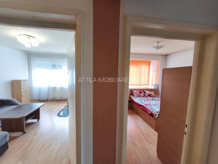 Medicina 2 camere 400 euro - 4