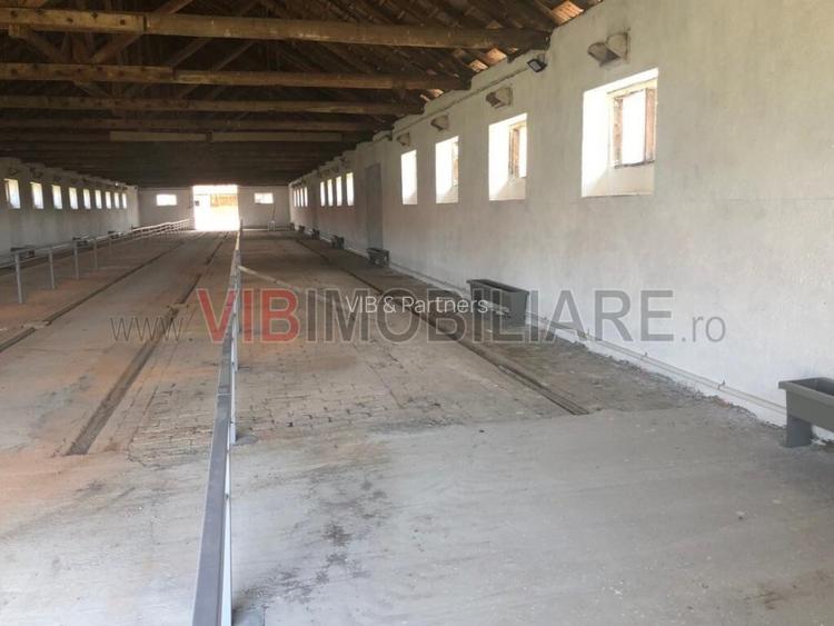 Ferma complet utilată – 30 ha teren comasat cu 11.500mp grajduri renovate Timiș - 11