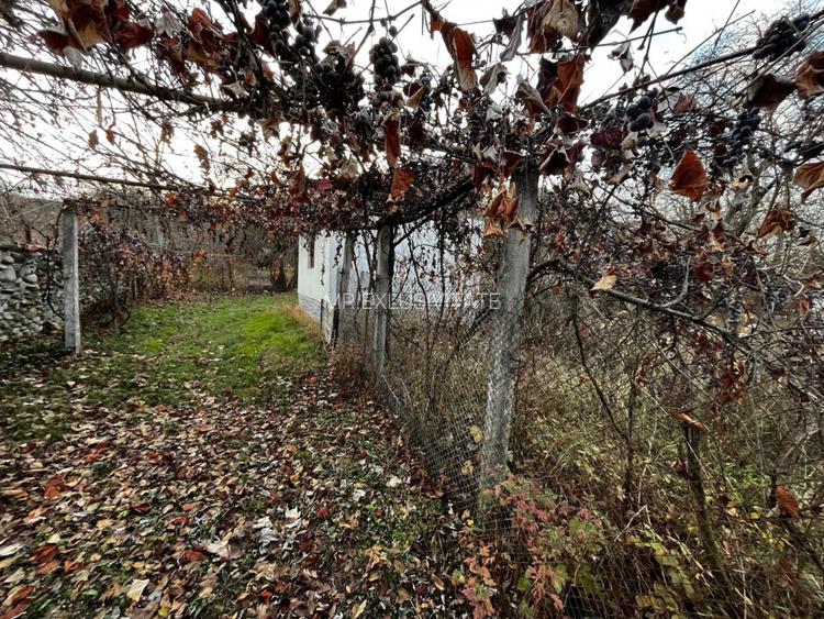 Casă + teren generos de vânzare în Strâmba Jiu - 9