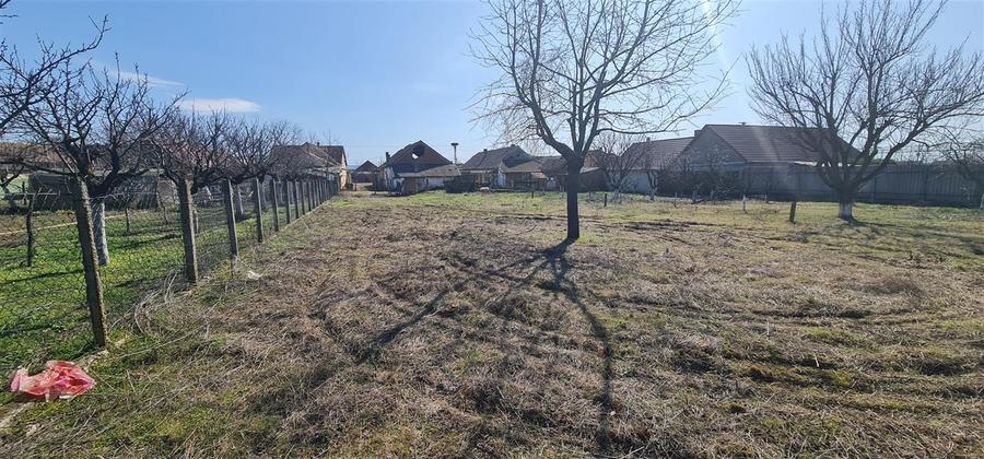 Teren 1270mp cu Casa in Santana, necesita amenajare/demolare