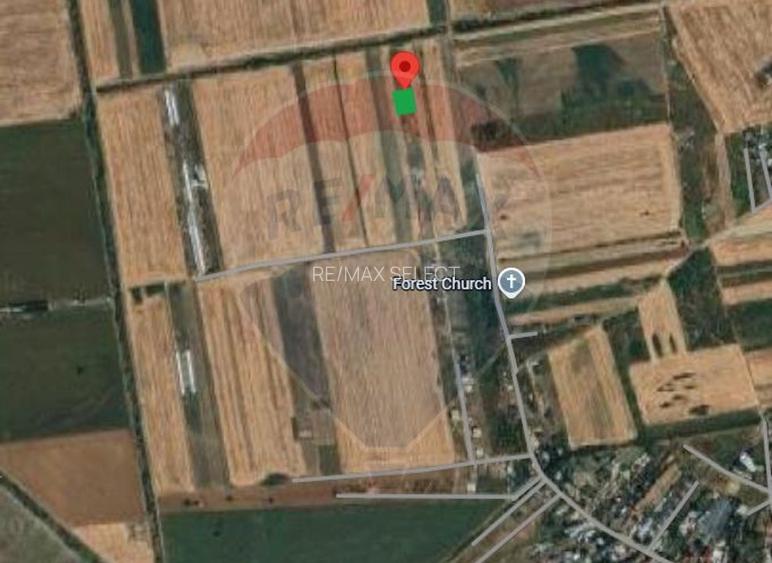 Vanzare teren intravilan 500 mp Sabareni /  Strada Orhideelor - 3