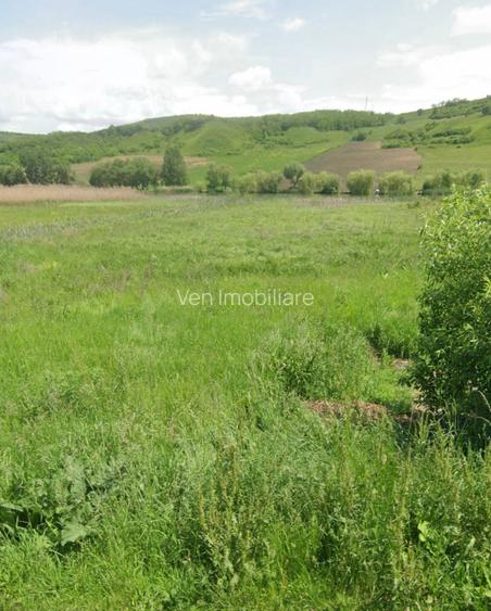 Teren extravilan de vânzare – Brăteni acces la Lac - 3