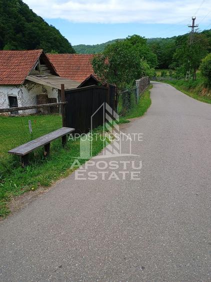 Casa batraneasca de vanzare, 4 camere, in Hunedoara, sat Micanesti - 27