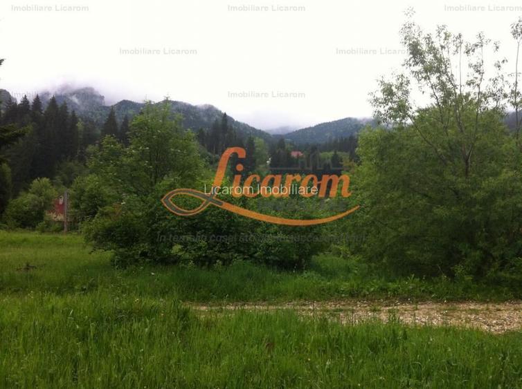 Teren intravilan Cotul Donului,pretabil Hotel/pensiune. - 3