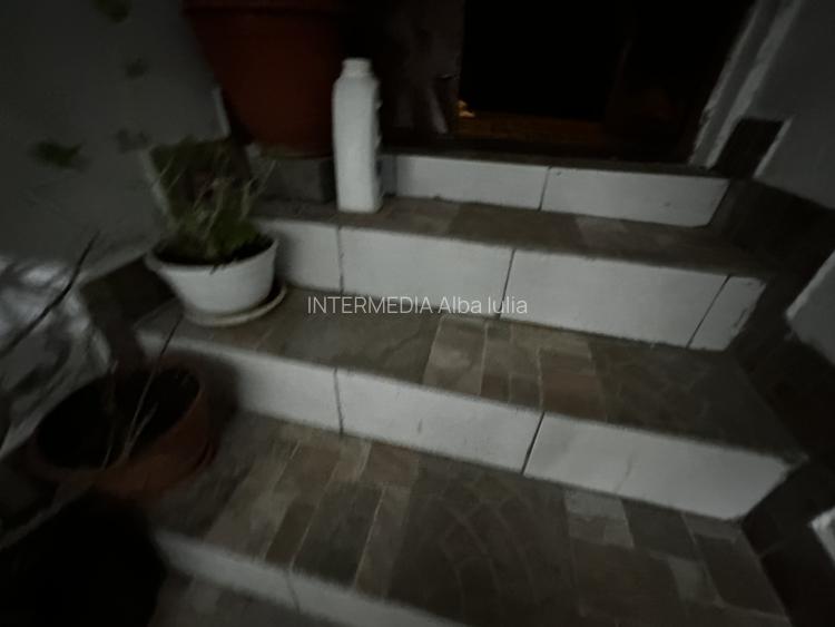 Casa P+M Zona Hotel CETATE 715 mp Teren Garaj Terase Piscina ideal Regim Hotelie - 17