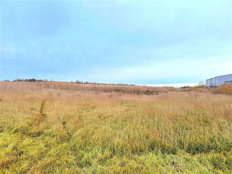 Teren industrial de vanzare, 9400 mp, Tomesti. Zona Transgor - 3
