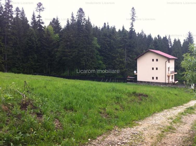 Teren intravilan Cotul Donului,pretabil Hotel/pensiune. - 14