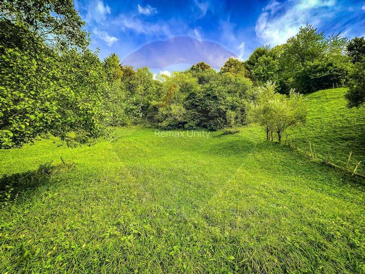 Teren 6,135mp Moieciu de Jos / Strada Principala - 13