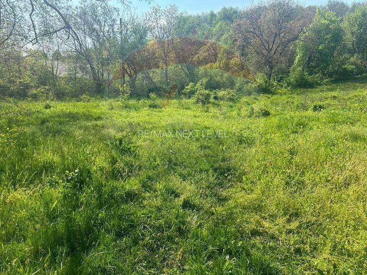 Teren 1,000mp Magura / Strada Valea Magurii - 4