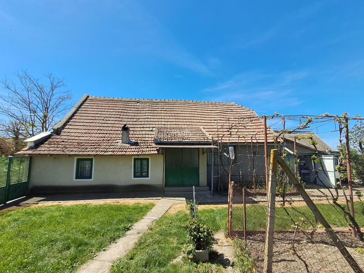 Valcani, proprietate cu casa taraneasca - 9