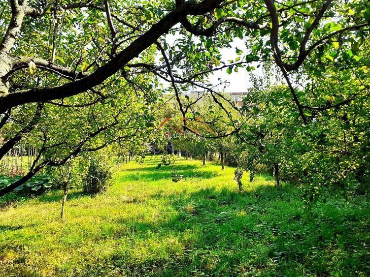 Casa 3 camere, teren 3625 mp, toate utilitatile, Sacele, Brasov - 5