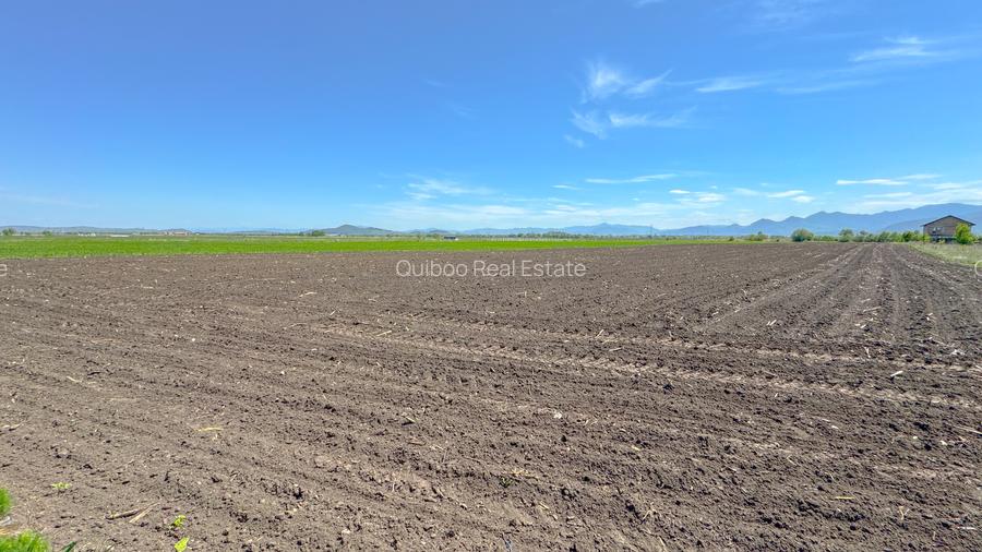Teren intravilan, 1.7 hectare, Stupini Strada Barsei - 10