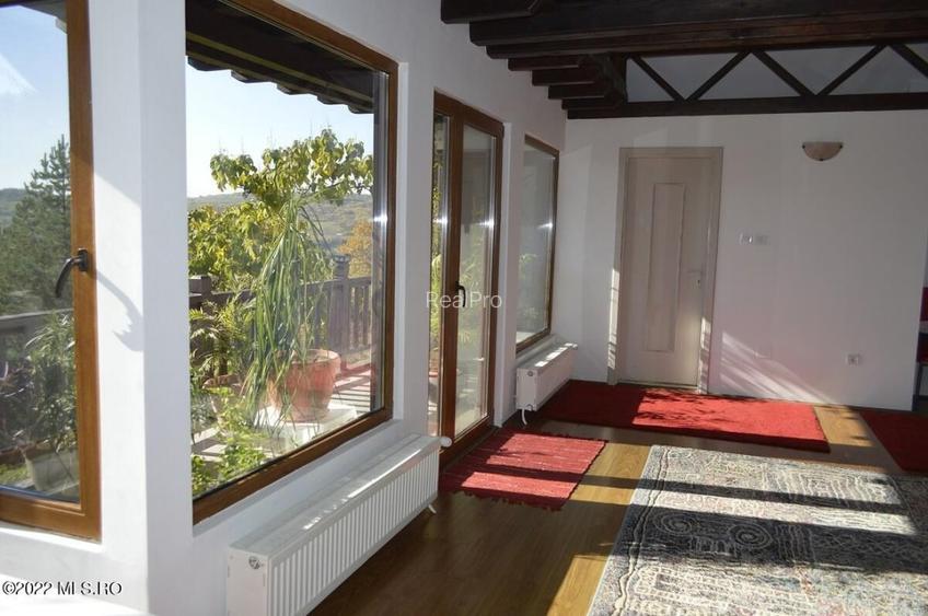 Topoloveni - Conacul Ion Mihalache, Domeniu pe 5 Hectare! - 36